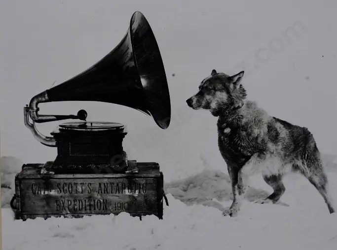PONTING, Herbert (1870-1935) - Dog Chris, Listening to the Gramophone, Antarctica, 1911 Image 1++