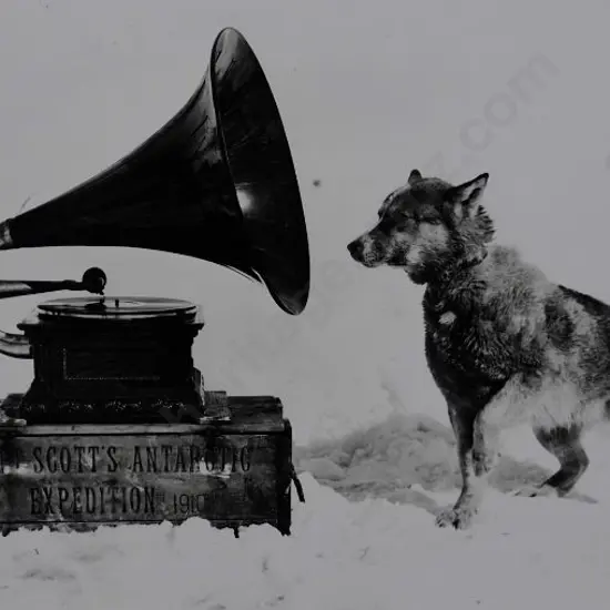 PONTING, Herbert (1870-1935) - Dog Chris, Listening to the Gramophone, Antarctica, 1911