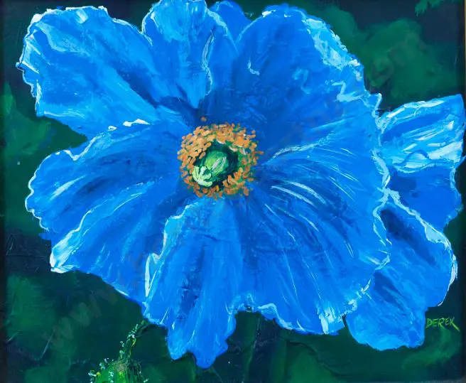 PARKER-LITTLE, Derek (-2014) - Blue Poppy Image 1++