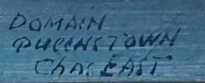 EAST, Charles (19th Cent.) - Domain in Queenstown Image 1++