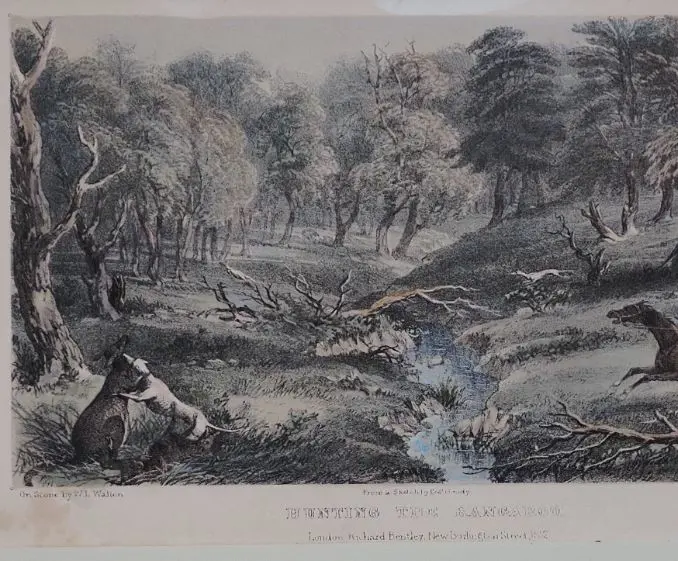 MUNDY, Colonel Godfrey Charles (1804-1860) - Hunting The Kangaroo - 13 Image 1++