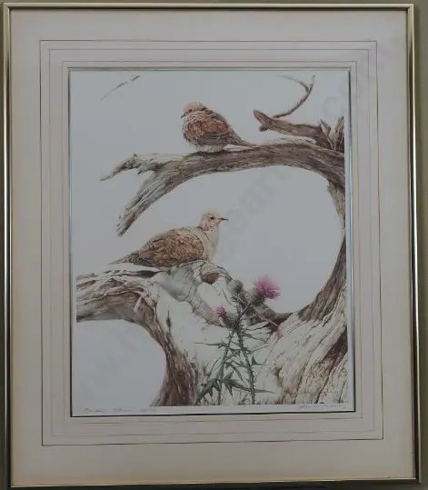 JAQUIERY, Merrilyn (1948-) - Barbary Doves Image 1++