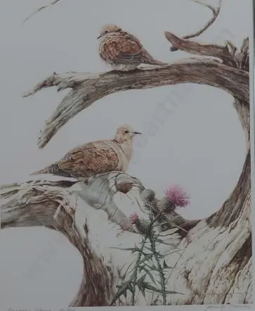 JAQUIERY, Merrilyn (1948-) - Barbary Doves Image 1++