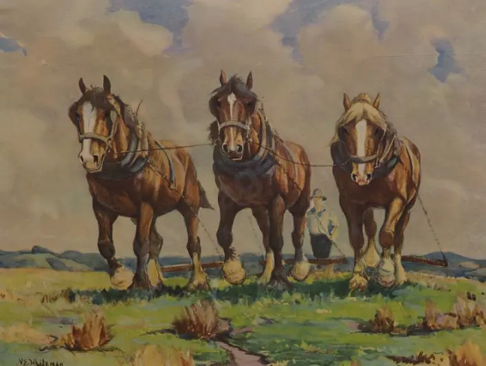 WHITEMAN, Violet Emily  (1873-1952) - Clydesdale Horses Ploughing Image 1++