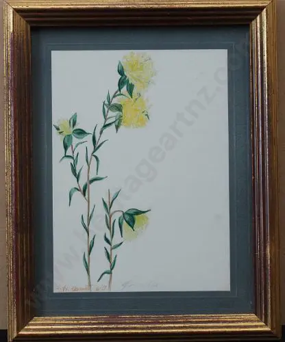 BASSETT, F.H. (1888-1948) - Pomelia (Flowering Plant) Image 1++