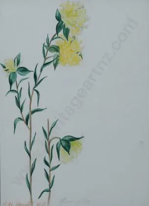 BASSETT, F.H. (1888-1948) - Pomelia (Flowering Plant) Image 1++