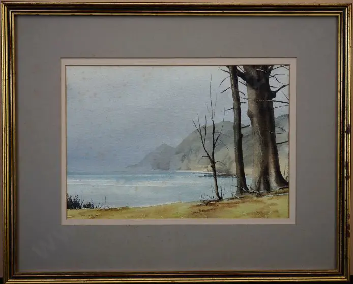 LEWIS, Tony (c.1970-2000) - Nugget Point, Westland Image 1++