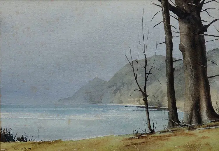 LEWIS, Tony (c.1970-2000) - Nugget Point, Westland Image 1++