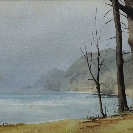 LEWIS, Tony (c.1970-2000) - Nugget Point, Westland