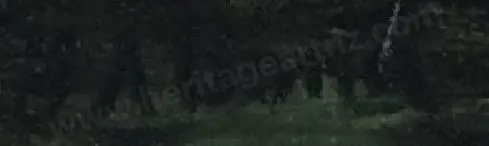 BOND, J.A. (1875-1953) - Inlet with Cottage Image 1++