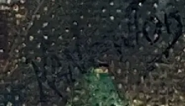 NEWTON, Ken - Pukekura Park, New Plymouth Image 1++