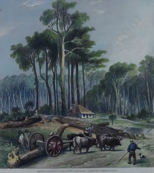 BREES, Samuel Charles (1809-1865) - Bush Clearing Porirua 1847 Image 1++
