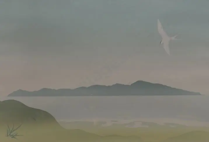 A42 - Unknown - Kapiti Island (stle of Malcolm Warr) Image 1++