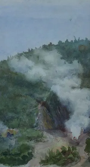 UNKNOWN - Lake Wairaki Image 1++