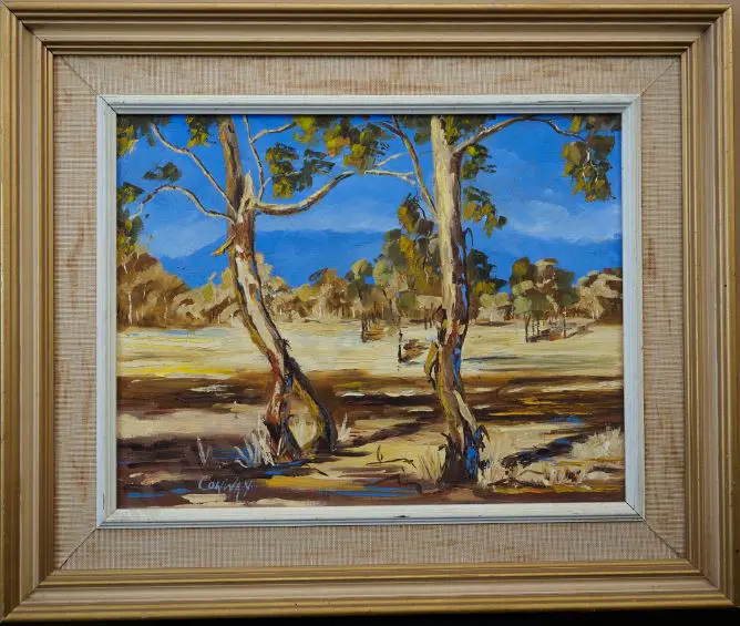 CONWAY - Gum Trees with Hills in Background Image 1++
