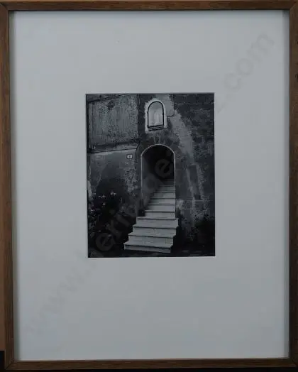 WOTTON, Richard (1946-) - Vaiano, Italy (Steps leading to Home) Image 1++