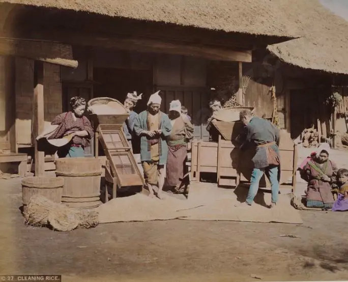 UNKNOWN - Cleaning Rice, Japan - Handcoloured photo c.1880 Image 1++