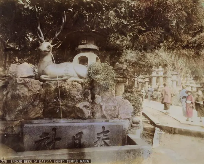 UNKNOWN - Bronze Deer of Kasuga Shinto Temple - Handcoloured photo c.1880 Image 1++