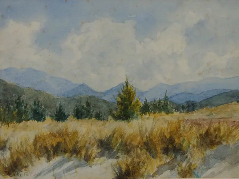 PATERSON, Dorothy (1895-) - Tussocks and Mountains Image 1++