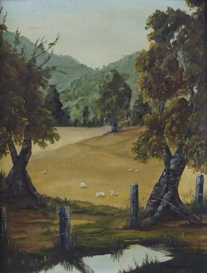 MORGAN, Pam - Featherston Farmland Image 1++