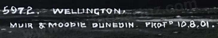 MUIR & MOODIE - photographers (1898-1916) - Wellington - Parliament Buildings, 10th August 1901 Image 1++