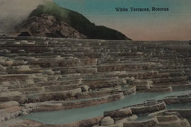 UNKNOWN Photographer - White Terraces, Rotorua- c.1900 Image 1++