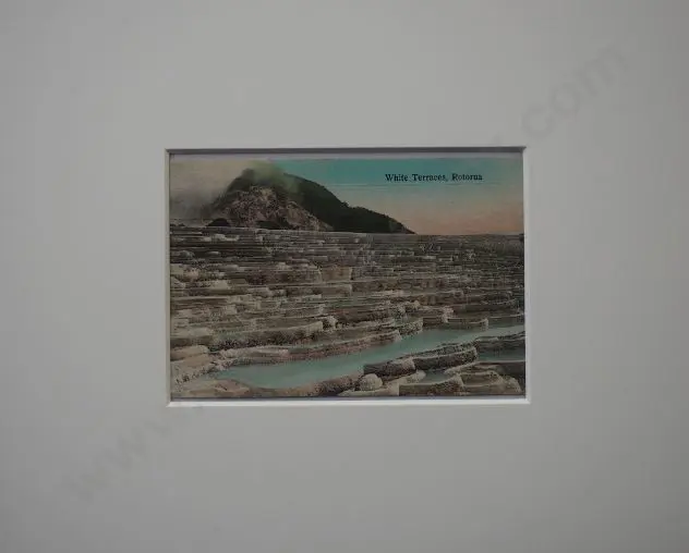 UNKNOWN Photographer - White Terraces, Rotorua- c.1900 Image 1++