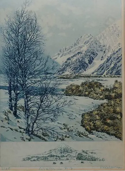 UNKNOWN - Winter in New Zealand Image 1++