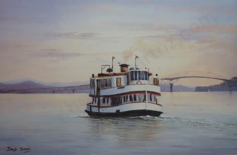 STONE, David - Kestrel Image 1++