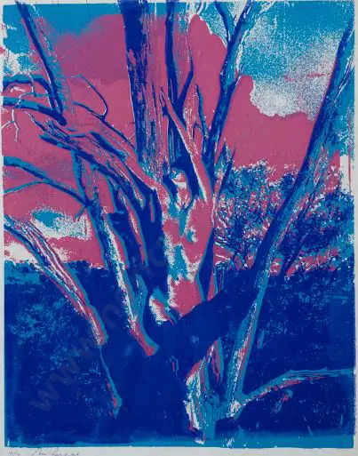 UNKNOWN - Trees Image 1++