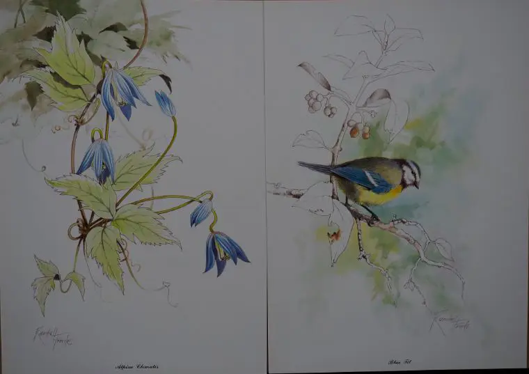 FROUDE, Randall (1930-) - Nature of Europe Image 1++