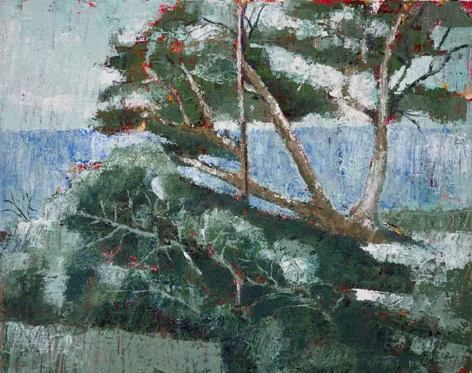 P.N.M (Initials) - Trees in Landscape (abstract) Image 1++