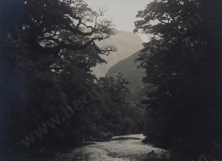 UNKNOWN - Clinton River, Milford Track Image 1++