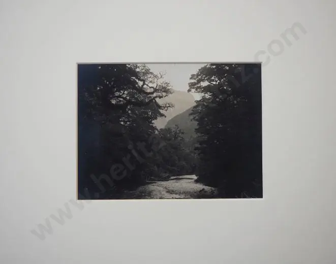 UNKNOWN - Clinton River, Milford Track Image 1++