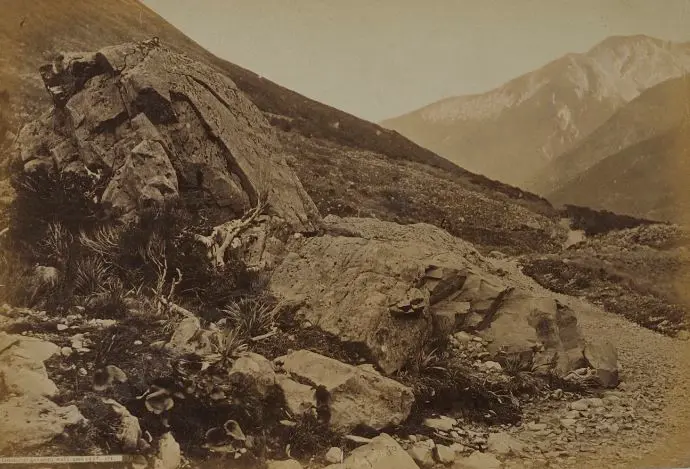WHEELER, Edmund (1800-1877) - Summit of Arthur's Pass, 5000 feet Image 1++