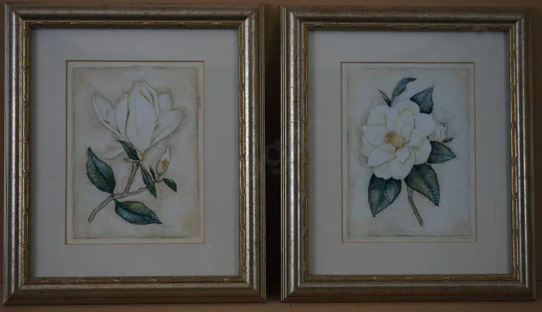 HENSON, Richard - Magnolia & Camellia (Pair) Image 1++
