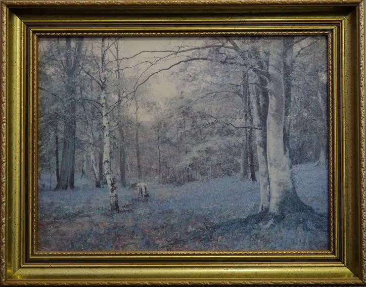 AUSTRIAN FOREST - Woman in Austrian Forest Image 1++