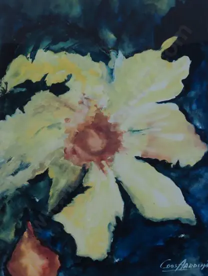 AARDEMA, Coos - Flowers Image 1++