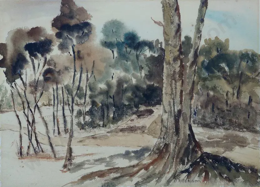 AITCHISON, D - Trees and Bush Image 1++