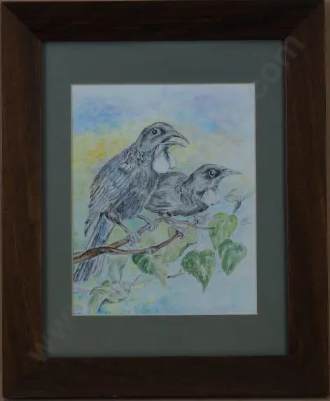 UNKNOWN - Tui (Pair) Image 1++