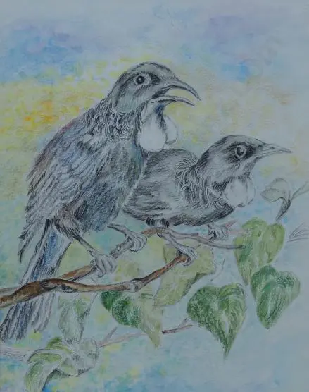 UNKNOWN - Tui (Pair) Image 1++