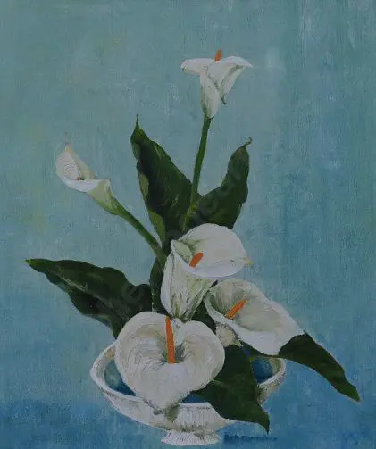 DEVONSHIRE, S. - Lilies Image 1++