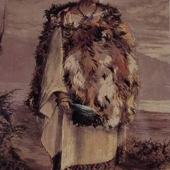 BARRAUD, Charles Decimus (1822-1897) - Te Rangihaeata – Maori Chief