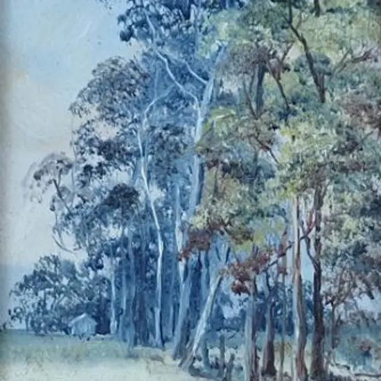 STEEL - Australian Gum Trees