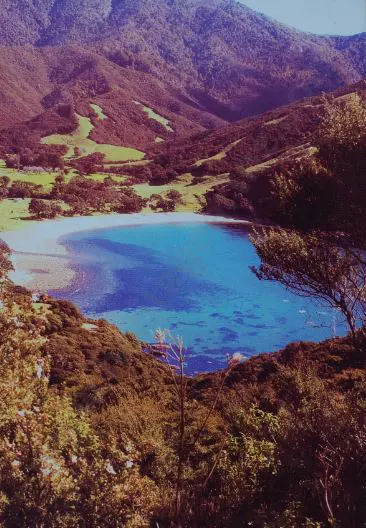 UNKNOWN - Lagoon Image 1++