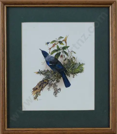 MARSHALL, Janet - Tui - Proshemadera novaeseelandiae Image 1++