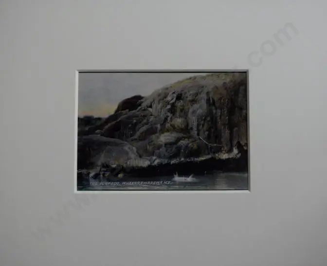 UNKNOWN Photographer - The Torpedo, Whakarewarewa Image 1++