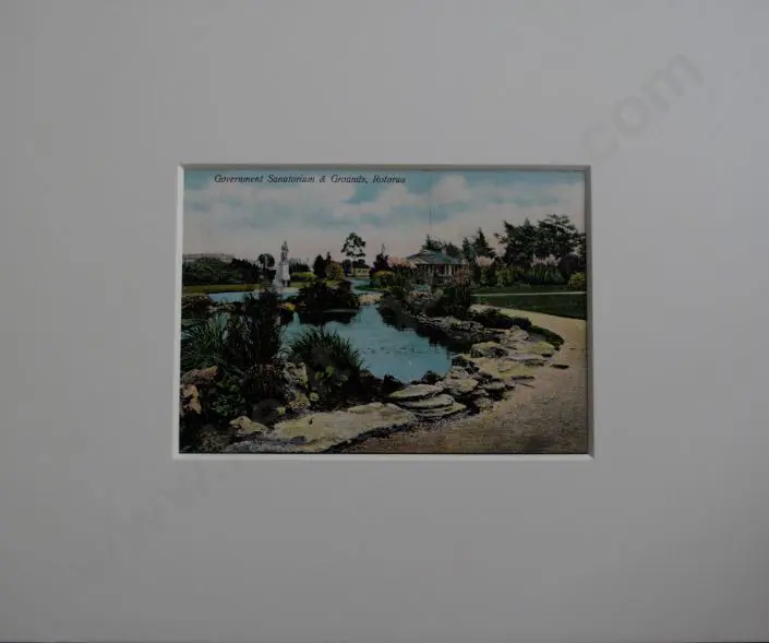 UNKNOWN Photographer - Sanatorium Grounds, Rotorua - c.1900 Image 1++