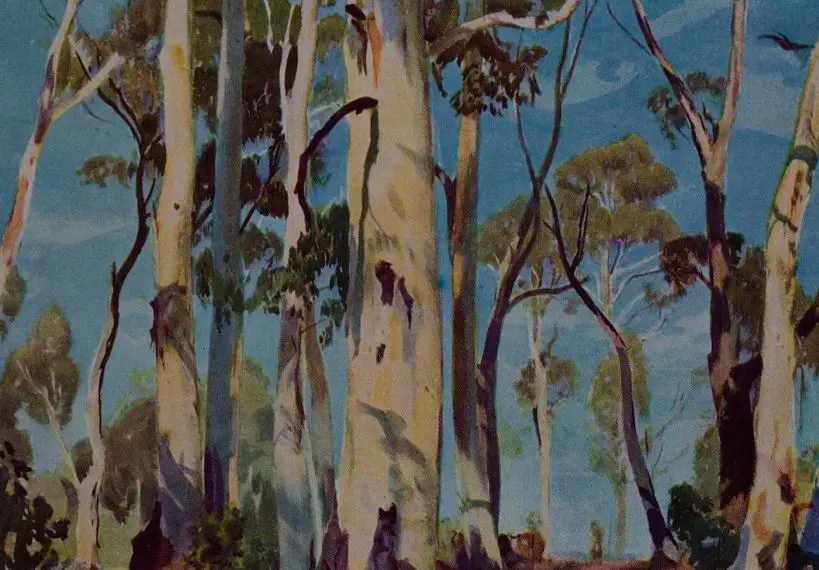 HEYSEN, Hans (1877-1968) - White Gums in Sunlight Image 1++