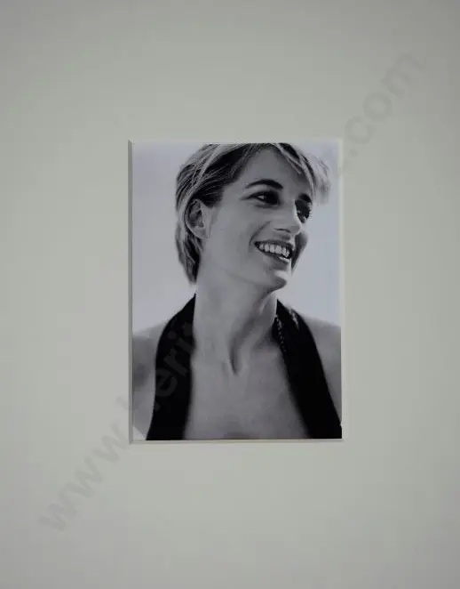 TESTINO, Mario (1954-) - Diana, Princess of Wales Image 1++